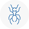 Ant Removals In Risley