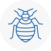 Bed Bug Extermination In Risley