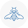 Bee Nest Removal Risley