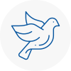 Bird Prevention Risley