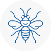 Risley Hornet Nest Removals