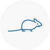 Mice Exterminators In Risley