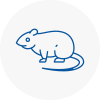 Rat Control Risley
