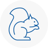 Risley Rodent Removals