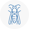Risley Wasp Nest Removal